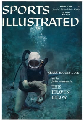 41426 - Cover Image